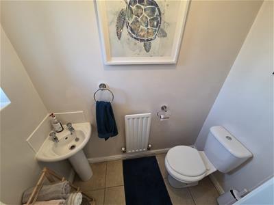 Picture 16
